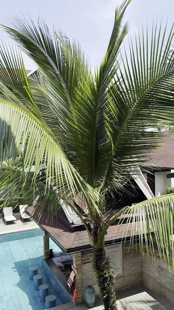Howard Johnson by Wyndham Phuket Naiyang 宿泊者の投稿写真 8