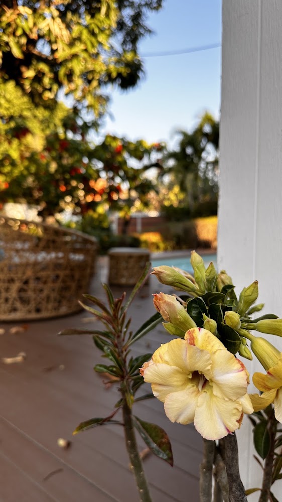 Private Pool Villa 89 Nimman Chiangmai 宿泊者の投稿写真 6