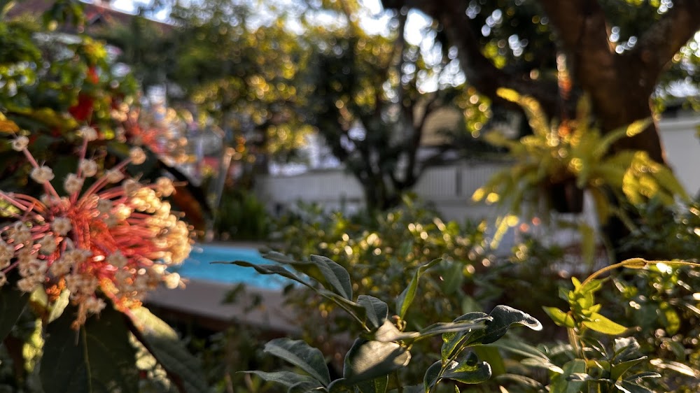 Private Pool Villa 89 Nimman Chiangmai 宿泊者の投稿写真 7