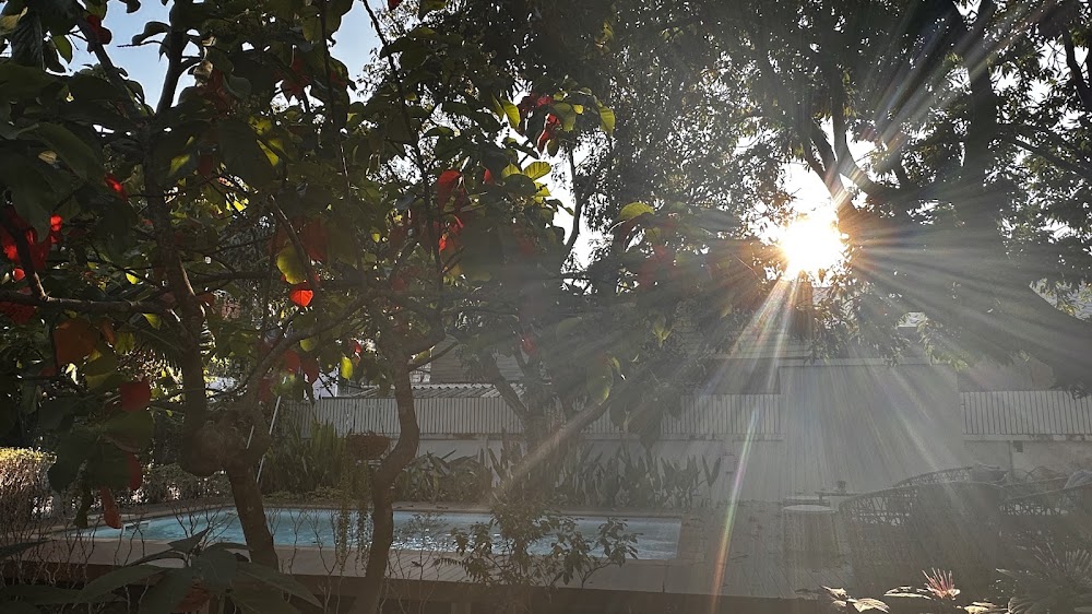 Private Pool Villa 89 Nimman Chiangmai 宿泊者の投稿写真 8