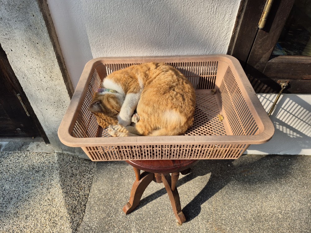 パイリン ファミリー コテージ ホテル 宿泊者の投稿写真 12