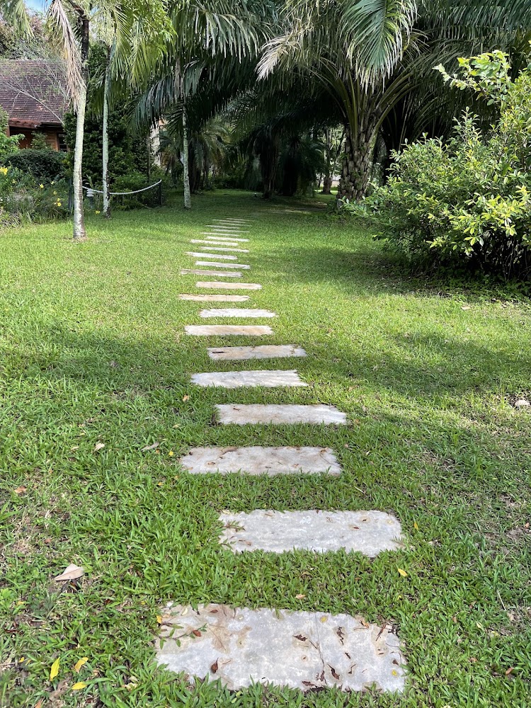 Something Journey Chiang Rai Cafe | Restaurant | Villa ซัมติง เจอร์นี่ 宿泊者の投稿写真 3